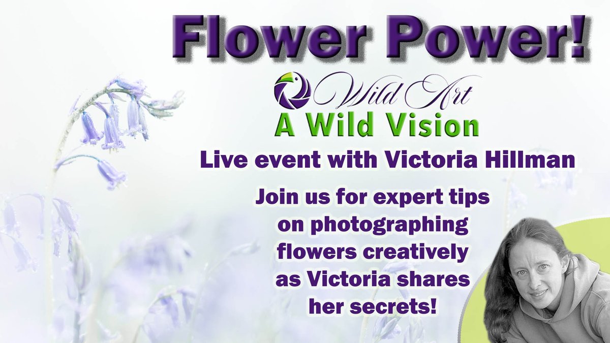 Join us tomorrow at 1pm UK time for Flower Power! @robwread talks to @vikspics about her techniques for photographing flowers artistically. Drop by, say hello and pick up some useful hints & tips youtu.be/oi3HNdU1r1A @OMSYSTEMcameras @SwarovskiOptik @fstopHQ @Cotton_Carrier