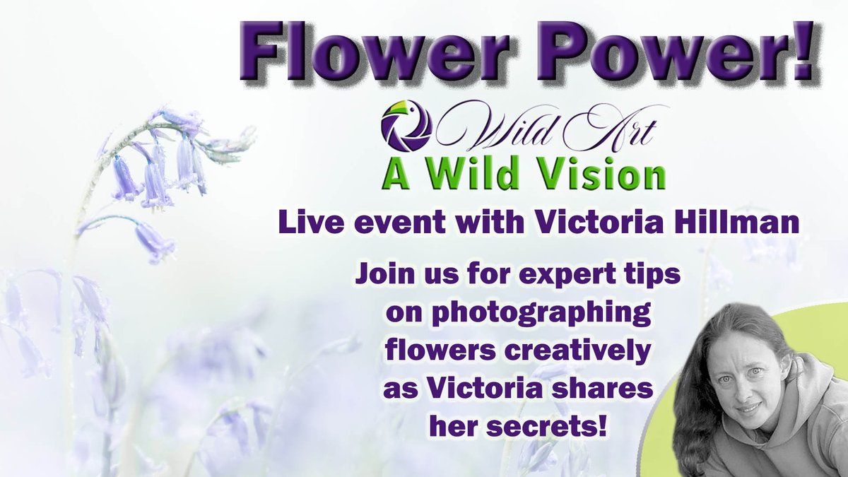 WildArt Photographer of the Year (@wildartpoty) on Twitter photo Join us tomorrow at 1pm UK time for Flower Power! @robwread talks to @vikspics about her techniques for photographing flowers artistically. Drop by, say hello and pick up some useful hints & tips youtu.be/oi3HNdU1r1A <a href="/OMSYSTEMcameras/">OM SYSTEM Cameras</a> <a href="/SwarovskiOptik/">SWAROVSKI OPTIK</a> <a href="/fstopHQ/">f-stop | Photography</a> <a href="/Cotton_Carrier/">Cotton Carrier</a> Join us tomorrow at 1pm UK time for Flower Power! @robwread talks to @vikspics about her techniques for photographing flowers artistically. Drop by, say hello and pick up some useful hints & tips youtu.be/oi3HNdU1r1A <a href="/OMSYSTEMcameras/">OM SYSTEM Cameras</a> <a href="/SwarovskiOptik/">SWAROVSKI OPTIK</a> <a href="/fstopHQ/">f-stop | Photography</a> <a href="/Cotton_Carrier/">Cotton Carrier</a>