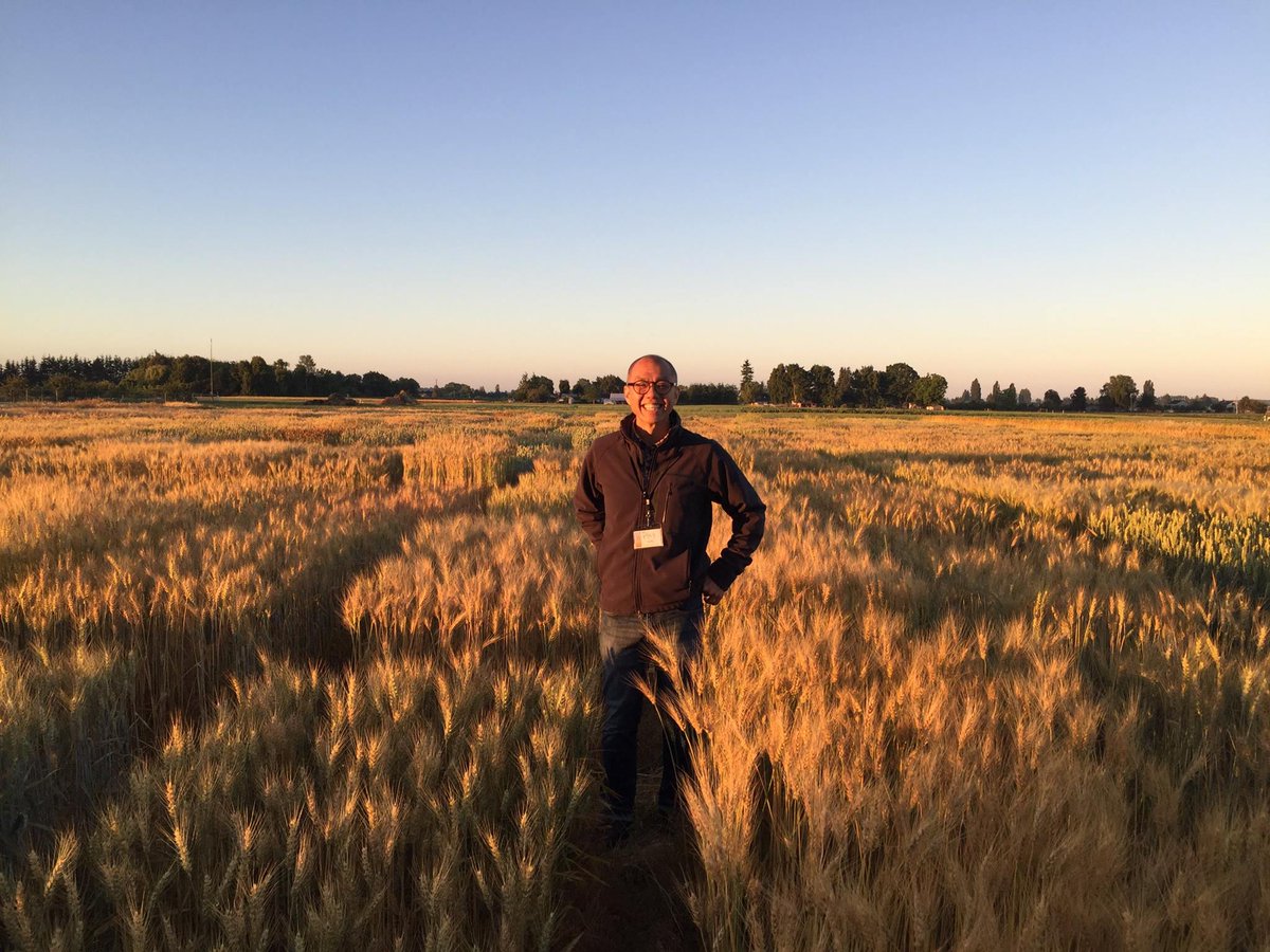ReadersToEaters's tweet image. Wonderful 2look back 2researching #BreadLab @ #WSUBreadlab getting sunrise wheat field tour from dir DrStephenJones 5yrs ago. New Paperback edition is here! bit.ly/2vISBfa #Bread #WholeWheat #WholeGrain #Baking #FoodLiteracy #FoodScience #Fermentation #STEM #FarmToSchool