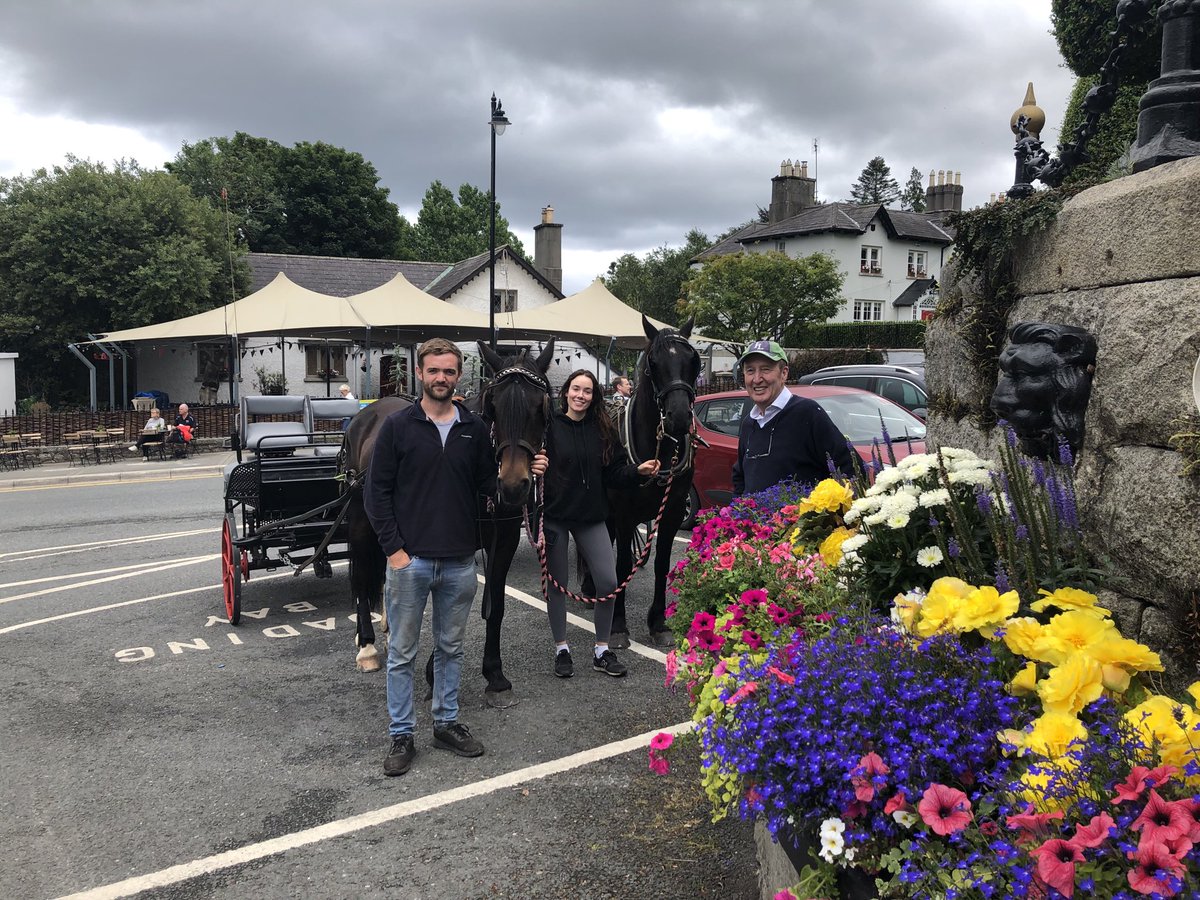 Free horse and cart rides in Enniskerry today! Neil  and Georgina and Avis .