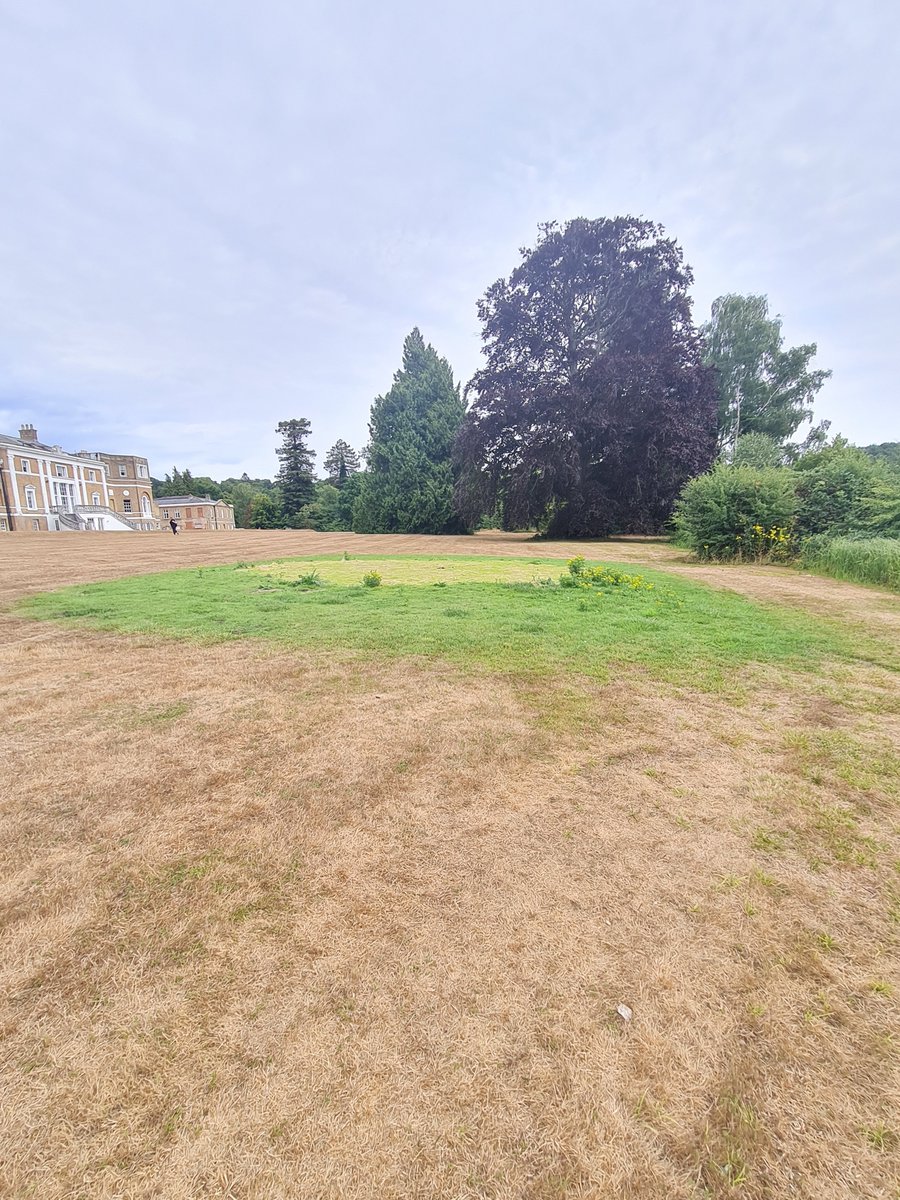 RachelPicton2's tweet photo. Amidst the expanse of dry, brown lawn at #waverleyabbey there is a small patch of watered grass. Just shows how the right conditions can help u thrive. Makes me feel #hopeful. @Waverleynews #joyinthesmallthings https://t.co/3m0I61em3s
