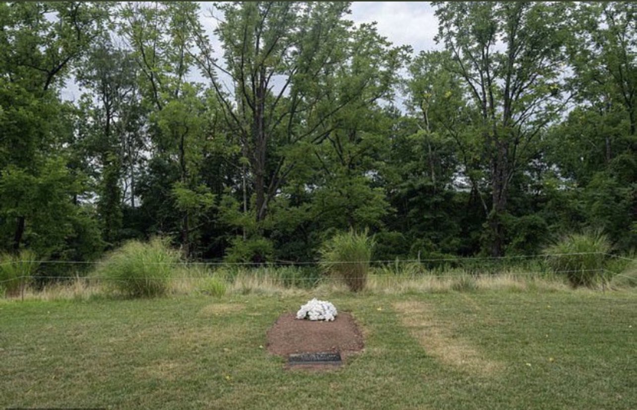 Tim Walz has a net worth of over 1 million, and yet has his 90 year