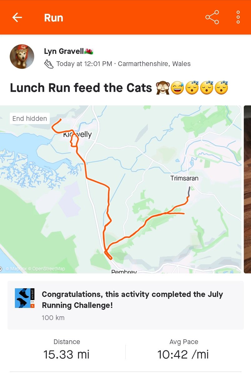 lyngrav's tweet photo. A little Run she said 🙈🤣😴😅🐱 https://t.co/RAcmGNMGe4