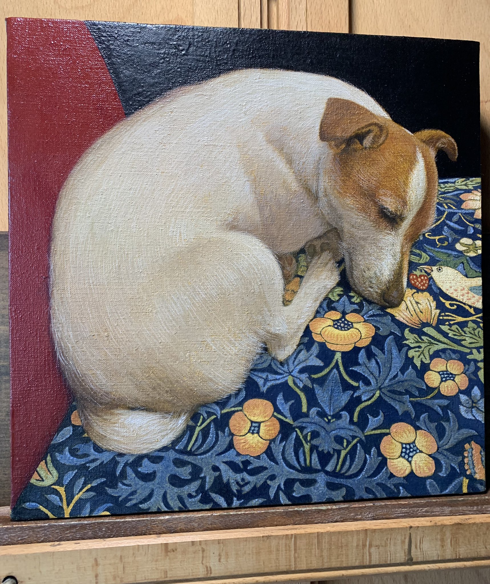 浅野 信二 on Twitter 