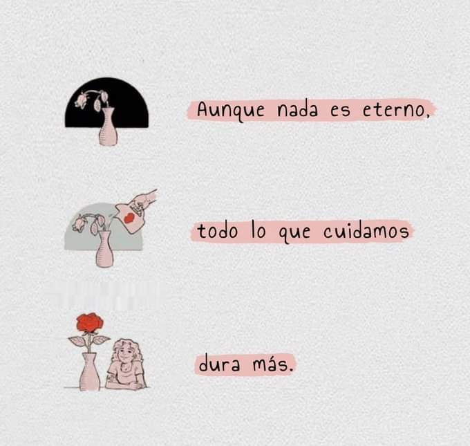 FrasesRealidad's tweet photo. Dura más ✨ https://t.co/3uWYsSswyq