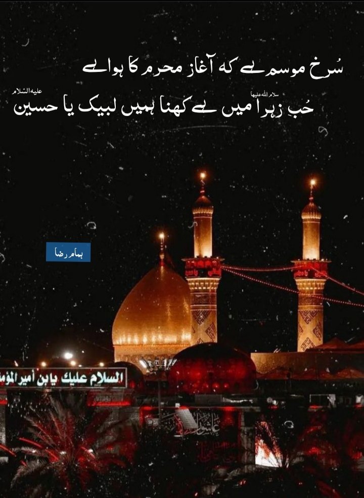 SyedHumam4's tweet photo. #LabbaikYaHussain 
#muharram1444 #muharram2022 #humamraza https://t.co/RbPawmoAga