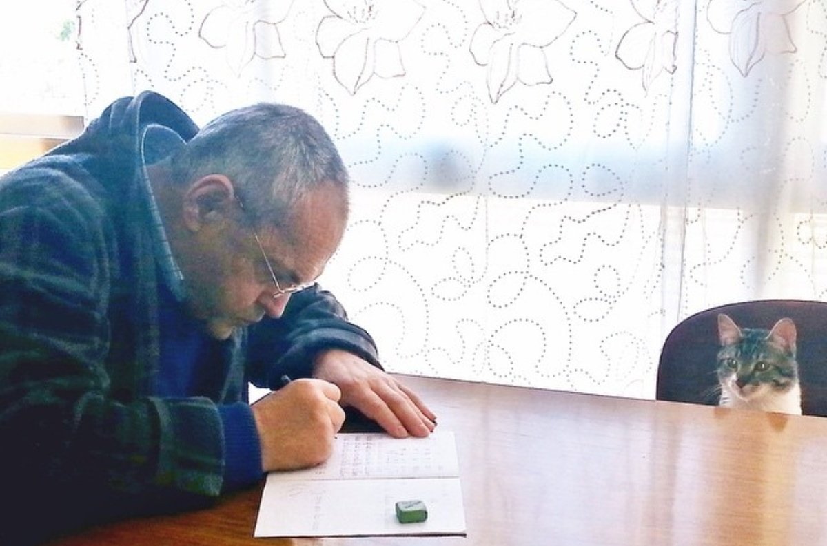 ༺ ✨🧭🧩𝓜𝓪𝔂𝓽𝓮 🧬✨༻ tweet media