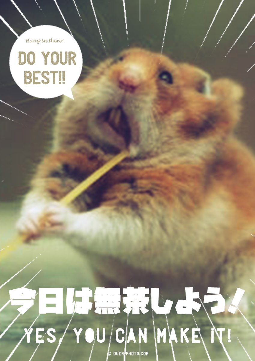 皆で増やしましょう！
お願い
#フォロー
#このツイートをRT
お礼
#フォロバ
#固ツイRT

#相互フォロー
#相互フォロー100パーセント
#フォロバ100
#フォロバします 
#フォローした人全員フォローする
#RT希望 
#いいねした人全員フォローする