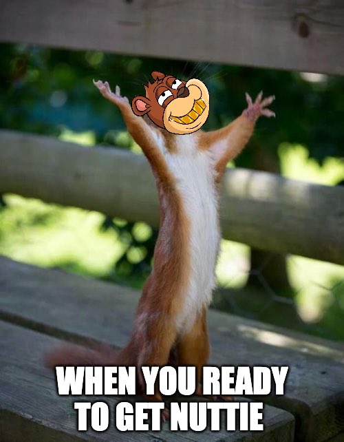 NuttiesNFT's tweet photo. We’re all just squirrels trynna get a 🥜

FMC Free Mint dropping soon 👀

#GetNuttie https://t.co/8YWsWAHCHk