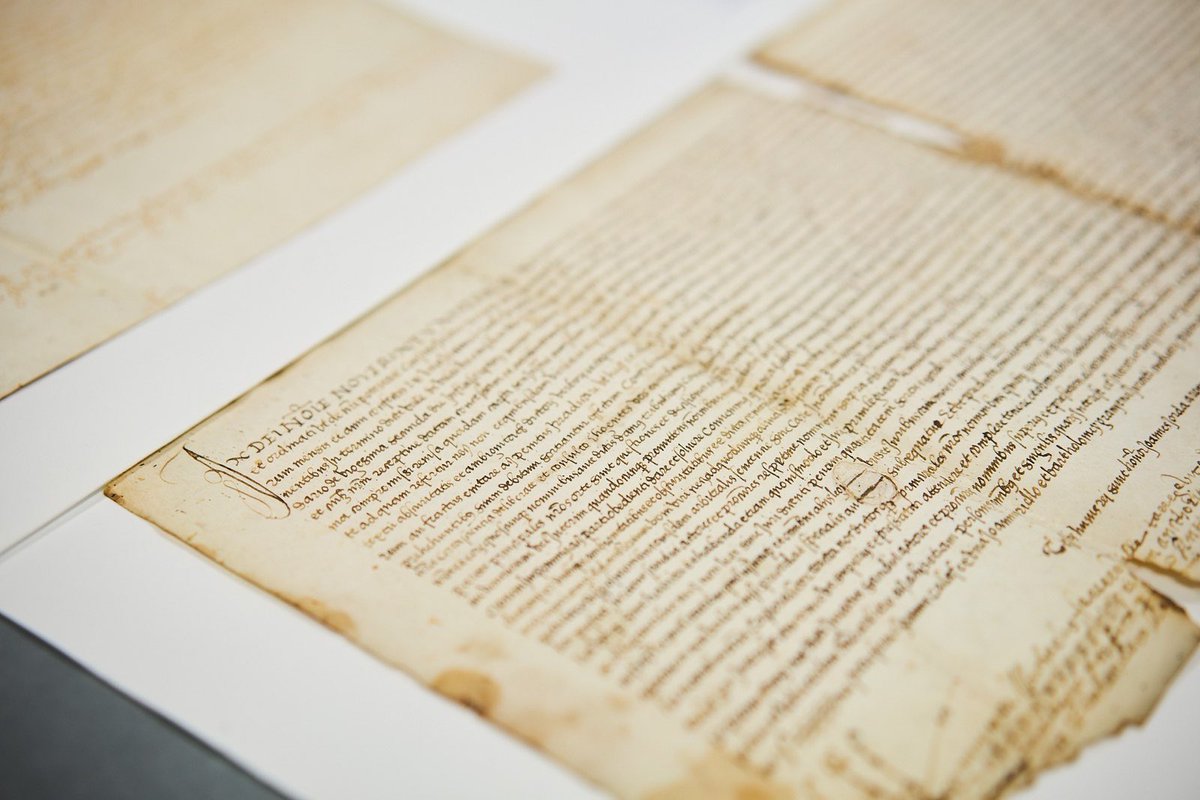 Natàlia Garriga tweet media