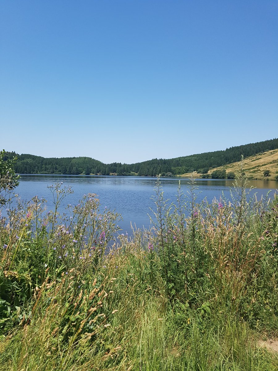 ZAMBIASI Isabelle PRO tweet media