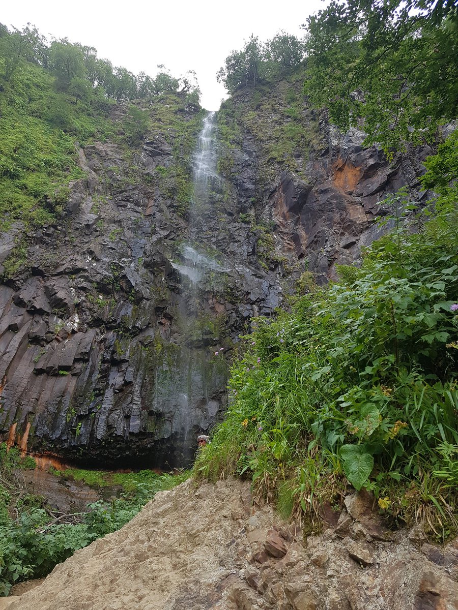 ZAMBIASI Isabelle PRO tweet media