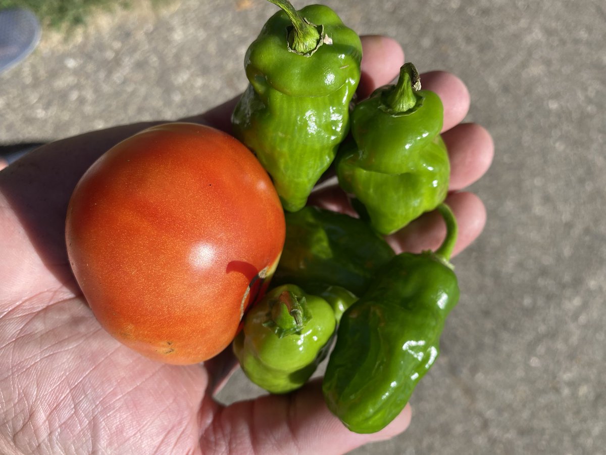 Derek Dobies ✊ tweet media