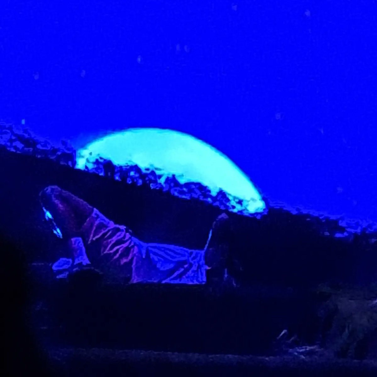 slv0078's tweet photo. I just saw Tyler a few hours ago and god damn, best tour ever for me. https://t.co/B8IeLJ4ZO8