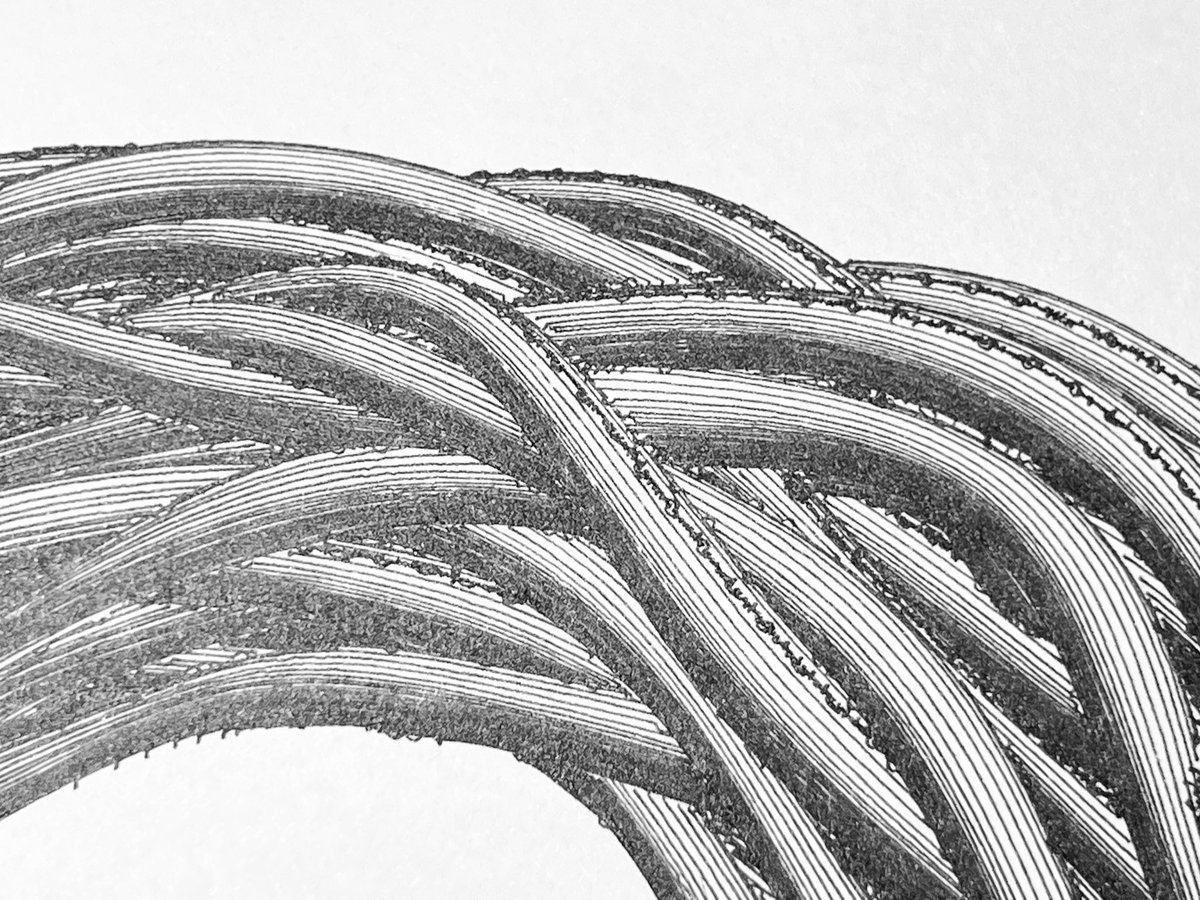 jhorikawa_err's tweet photo. some unexpected jitter lines but ok
#houdini #plotterdrawing https://t.co/vfTHzY92NQ