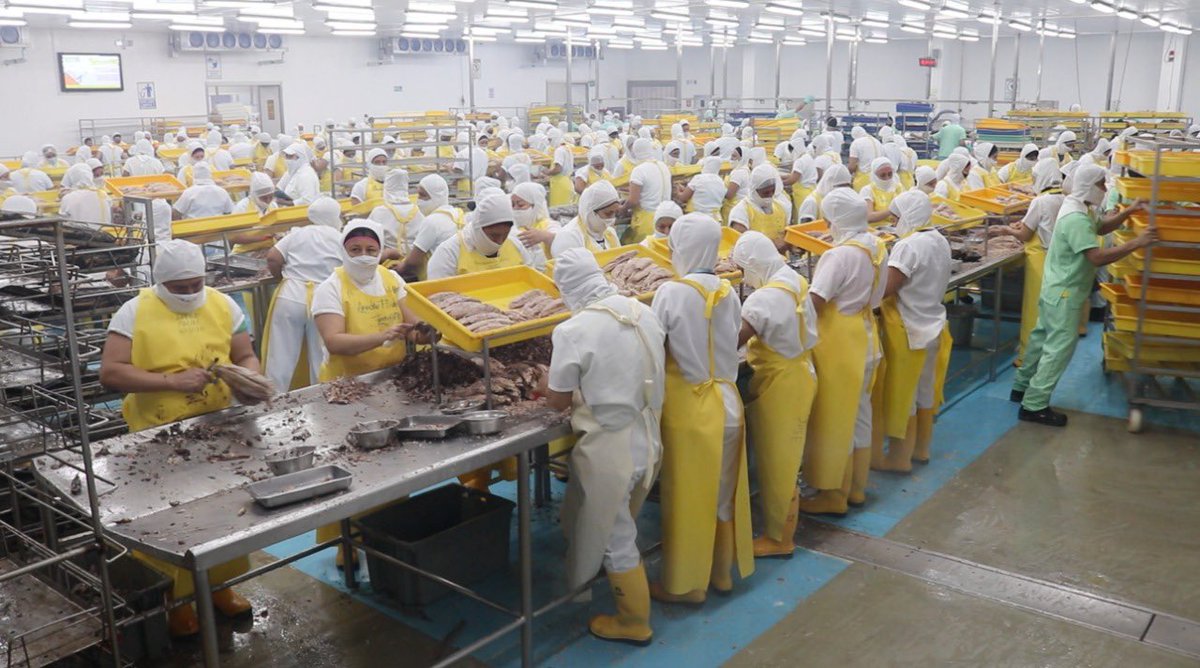 vmaino's tweet photo. La simplificación de trámites diversifica y reactiva sectores importantes como la pesca y acuacultura. Con autoridades de Cámara Ecuatoriana de Industriales y Procesadores Atuneros-@CEIPA_Ecuador analizamos oportunidades del sector durante recorrido por empresa TECOPESCA en Manta https://t.co/xvPq5dR6s1