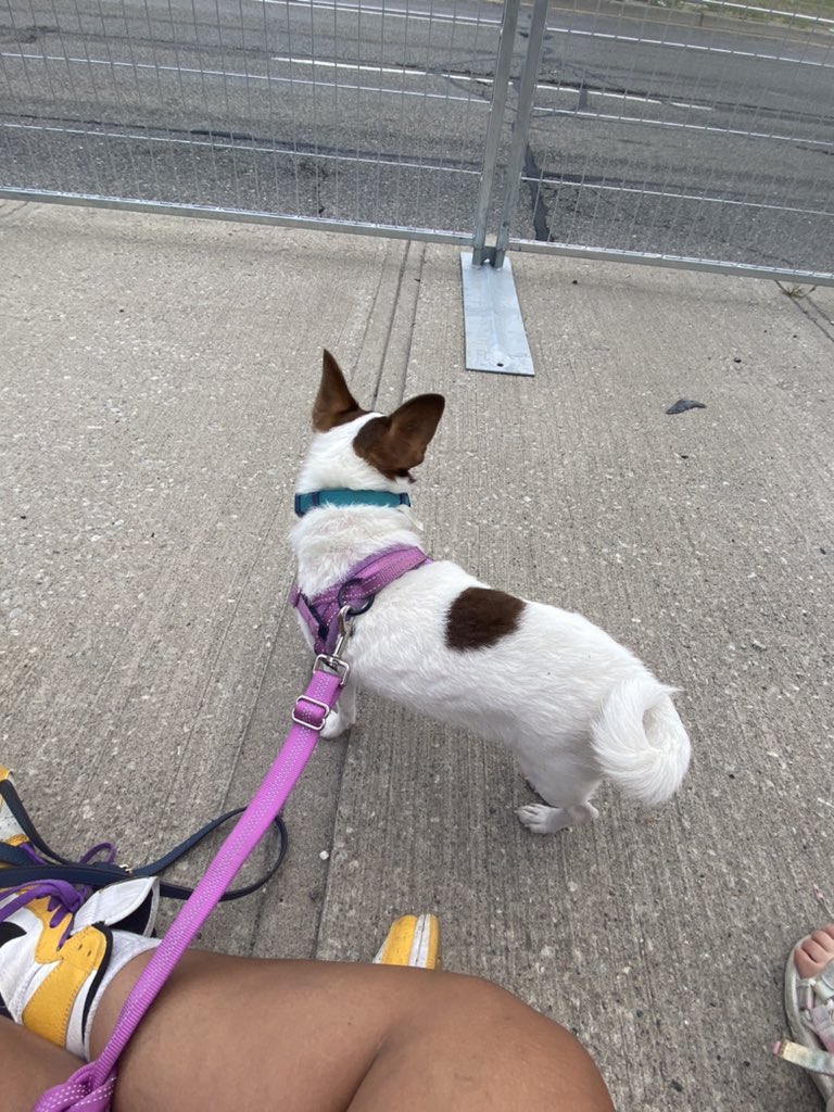 Louis waiting for parade to start