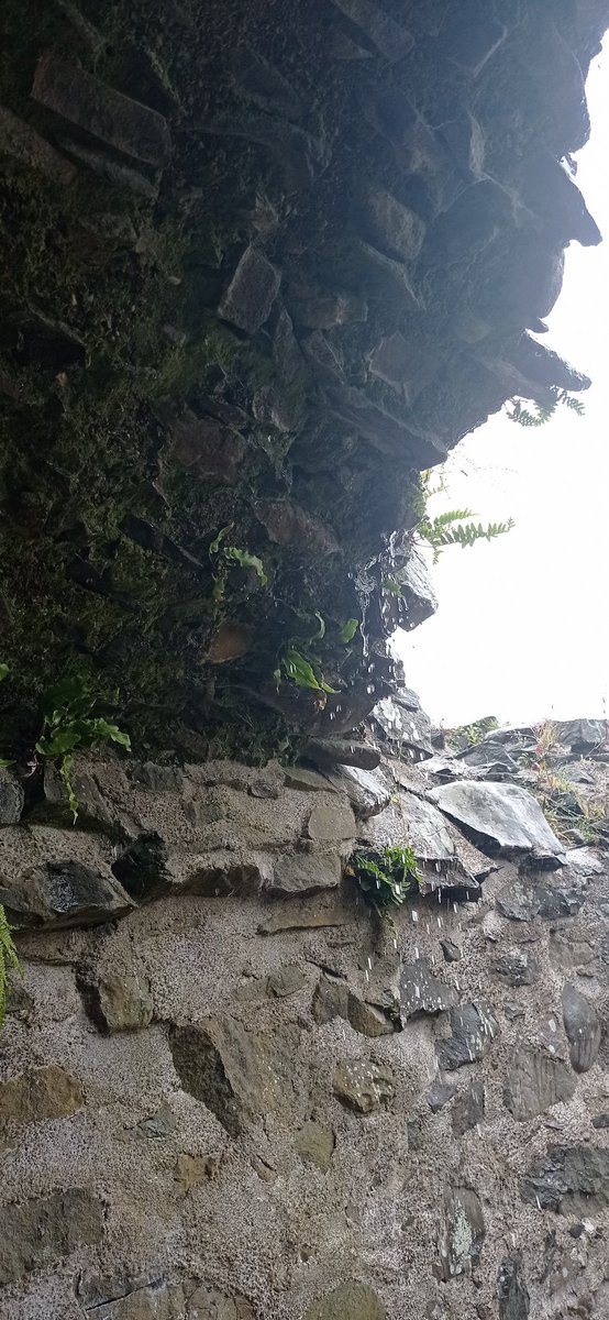 Today was a typical Irish soft day for our Paddle Back in Time event to Nendrum with #StrangfordLoughOutdoorActivityCentre We had a good time talking about #Vikings #Monks #PlaceNames #MiddleAges  Only person missing was my partner in crime <a href="/proinsy/">Dr Frances Kane</a>