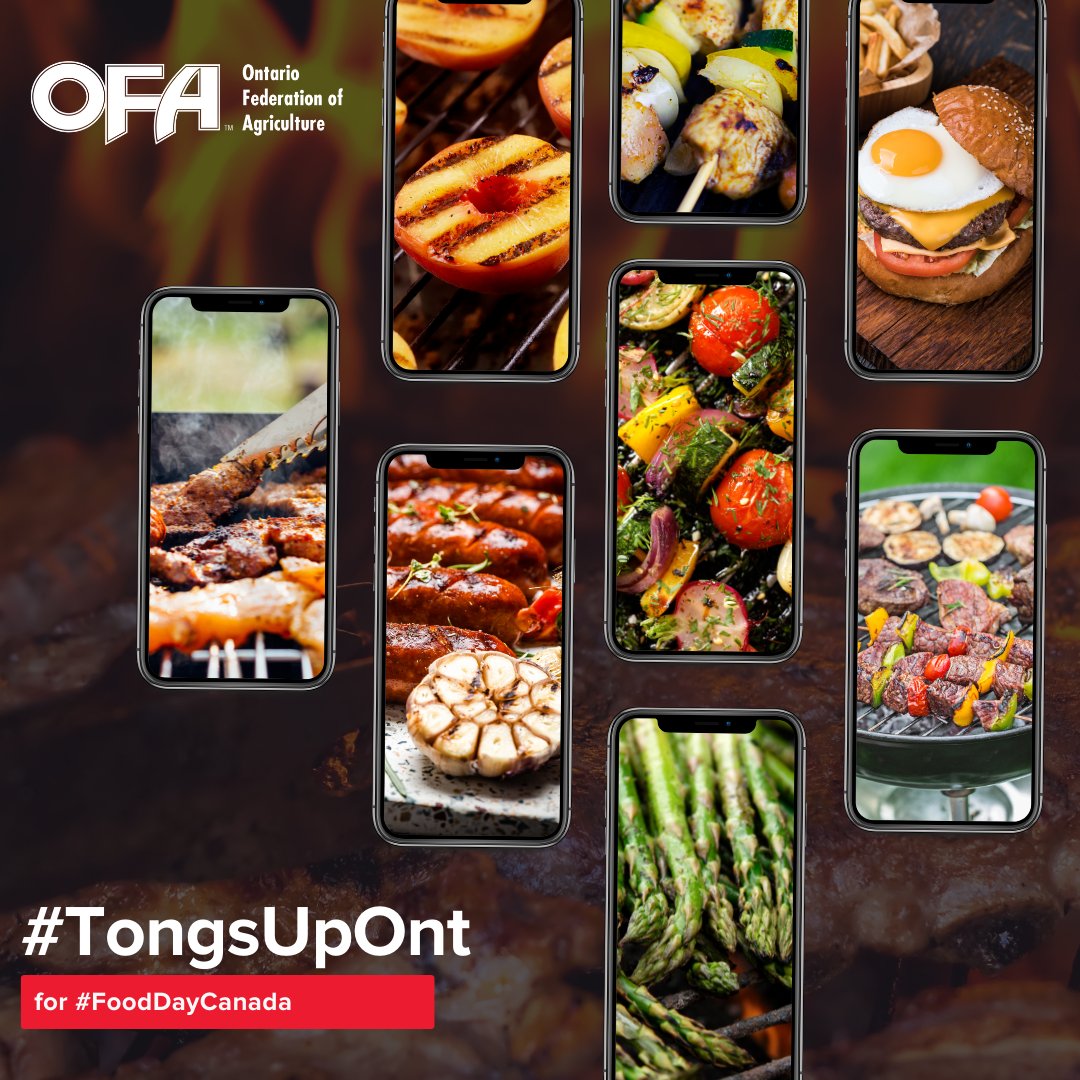 #FoodDayCanada is here! Show your ❤️ for Canadian farmers, ranchers, fisheries, processors &amp; everyone along the agri-food supply chain by filling your plate with local foods. Get those #TongsUpOnt for #FoodDayCanada