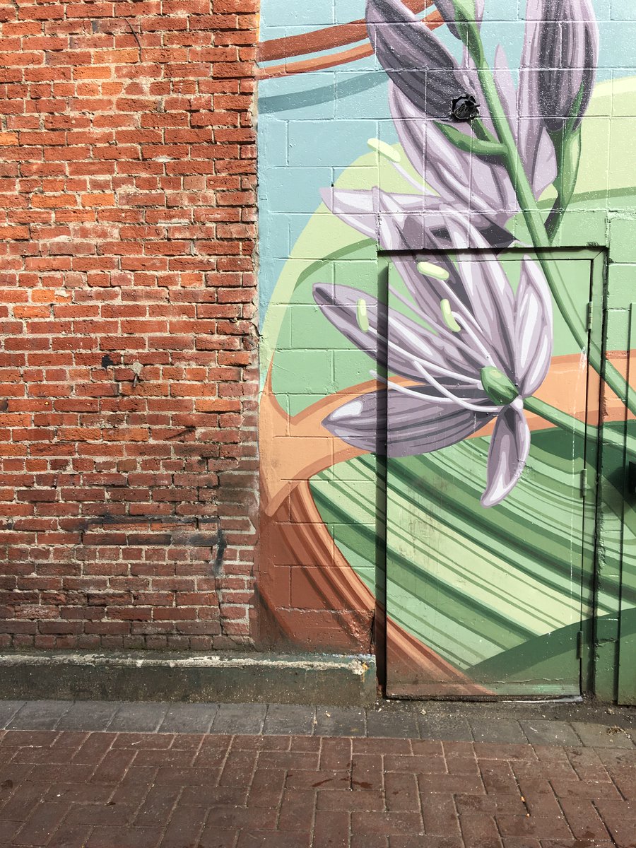 WritingRussell's tweet photo. Art on alleyway wall / Victoria, BC / 2022
#photo #alley #victoriabc #photograph #Flowers #brickwall #color #photographs #walking #Canada #phototaking #artwalking https://t.co/lRcNGUyXAR