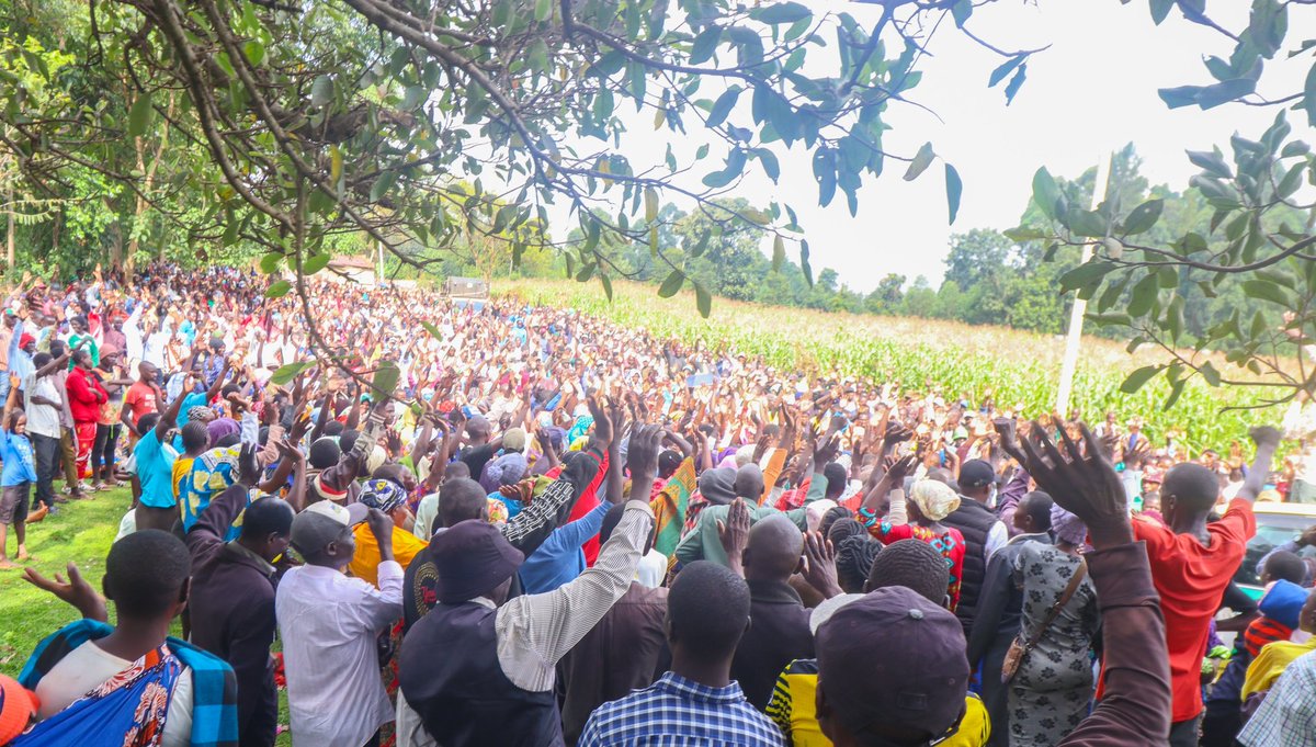 DidmusWaBarasa's tweet photo. Thank you my people from Miruri,Siuna,Chebukwabi,Nasianda and temba for the warm welcome and resolving in unison to support @WilliamsRuto @SpeakerKLusaka  @Wetangulam @Nancykibaba Sam Sichangi and yours trully the peoples servant.

#RutoThe5THPresident 
#EnoughIsEnough https://t.co/wxtxIzQvMj