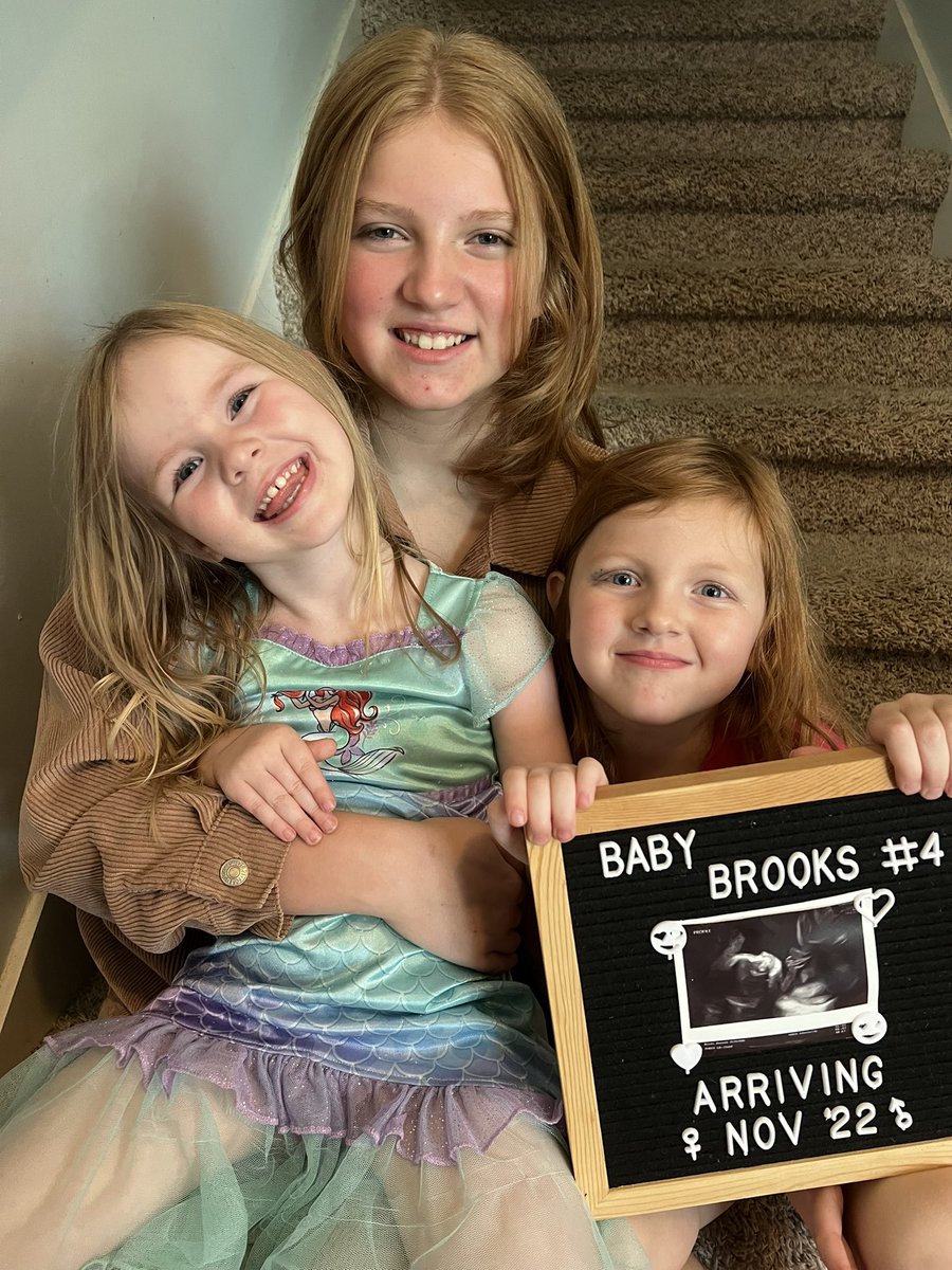 B. Collin Brooks tweet media