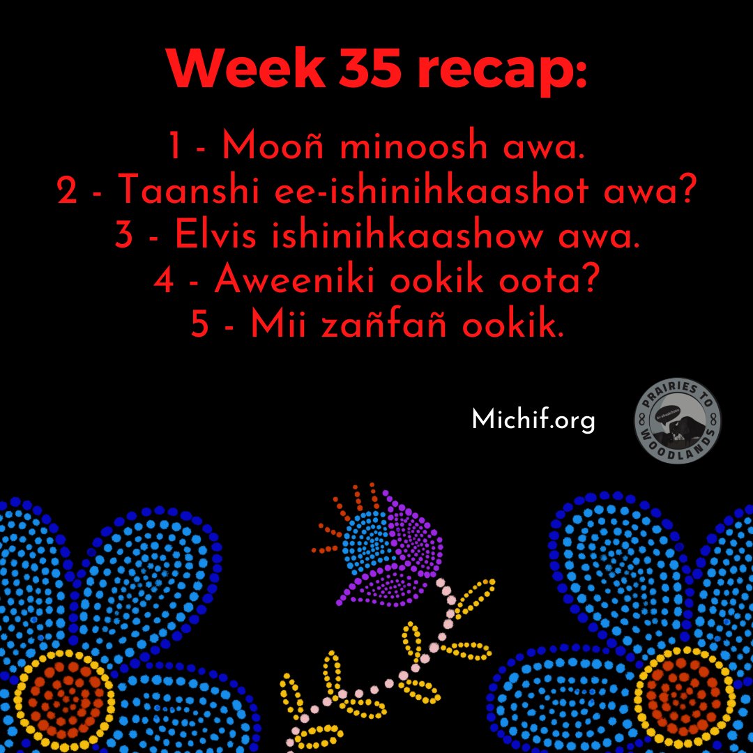 Thirty-five weeks - nearly nine months of Michif! We're nearing the end of the first stage of our learning journey. Have these daily phrases helped you? Do you feel your language knowledge has grown since you first began?