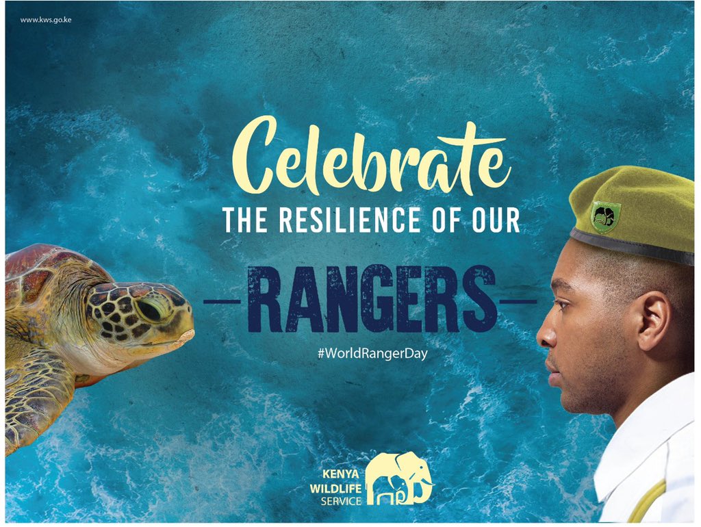 Kenya Wildlife Service (@kwskenya) / Twitter