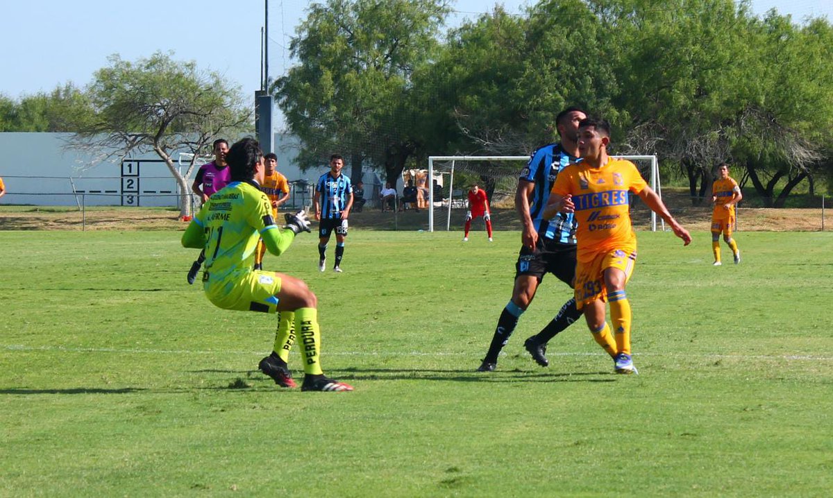 ClubTigresFB's tweet photo. #Sub20 ¡Final del partido! @TigresOficial venció 1-0 a @Club_Queretaro con gol del arquero Miguel Ortega por la vía del penal ⚽🐯 https://t.co/nHc4na1BnP