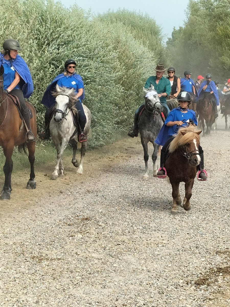 Joli succès populaire pour cette édition 2022 de l'Equirando. Des cavalières et cavaliers randonneurs venus de toute la France. C'est encore demain à l'espace Henson Marquenterre à Rue <a href="/CDOS80/">CDOS Somme</a> <a href="/GlavieuxMarcel/">GLAVIEUX Marcel</a> <a href="/MargauxDeletre/">Margaux Delétré</a> <a href="/Somme_fr/">Département de la Somme</a>
