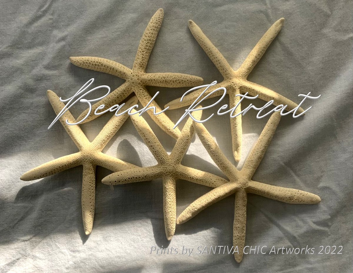 Excited to share the latest addition to my #etsy shop: Starfish Print for your Five Star Beach Retreat etsy.me/3S8v93L #beachhousedecor #coastaldecor #photography #starfish #coastalprint #beachretreat #beachy  #beachart