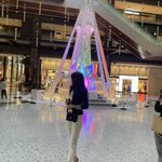 ツイートに含まれる画像