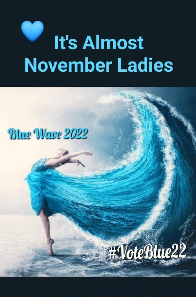1983resist's tweet photo. All women please send a message!  Get out and vote in November! https://t.co/Cr5eS47eUF