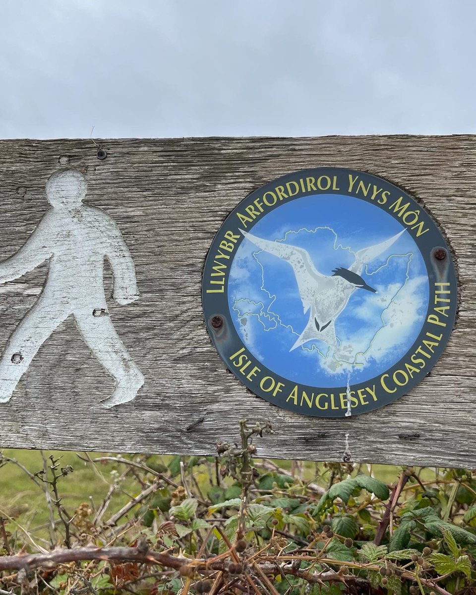 dealwesthamboy's tweet photo. Arrived on Anglesey to walk the coastal path let’s do this 👍#angleseycoastpath #welshcoastalpath #llanfaethlu https://t.co/lVwmt7lG9T