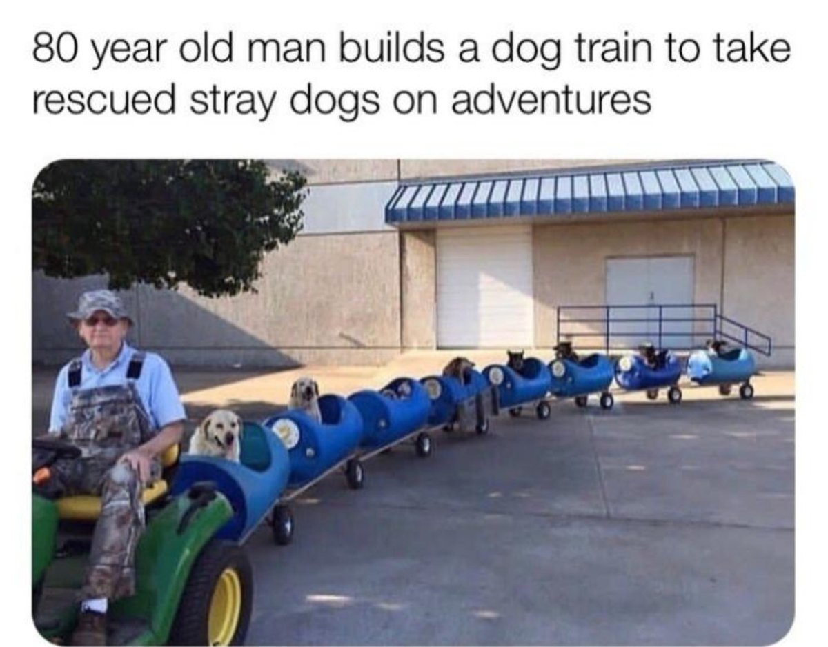 WholesomeMemes (@wholesomememe) on Twitter photo 