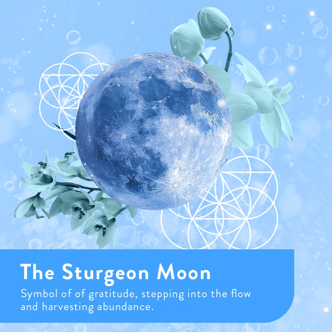 The August Moon is named after the sturgeon fish. The moon symbolizes the bountiful harvest, stepping fully into the flow and opening yourself to life's abundance.