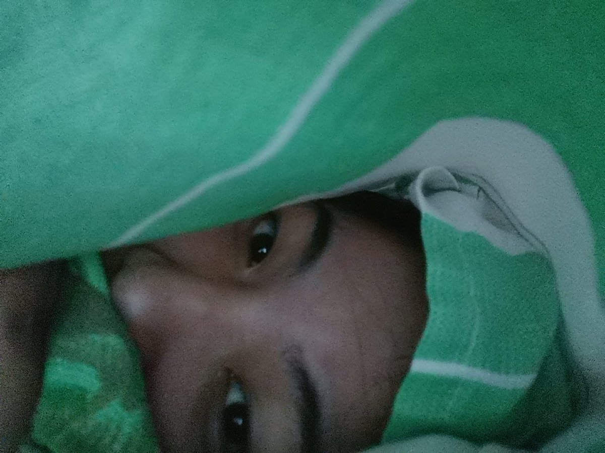 amadeaislove's tweet photo. me rn...... https://t.co/JMC017RFi5