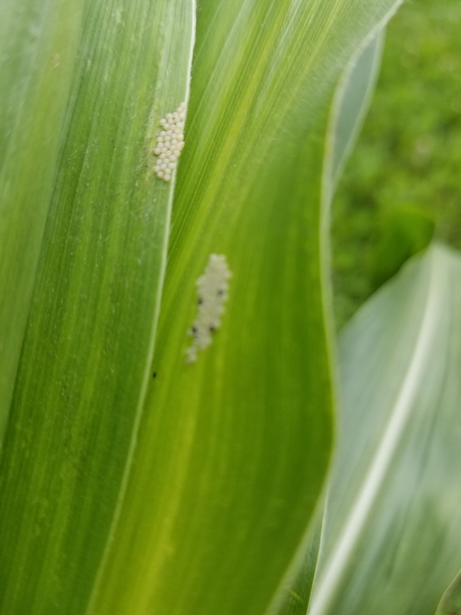 Bryan Cook tweet media