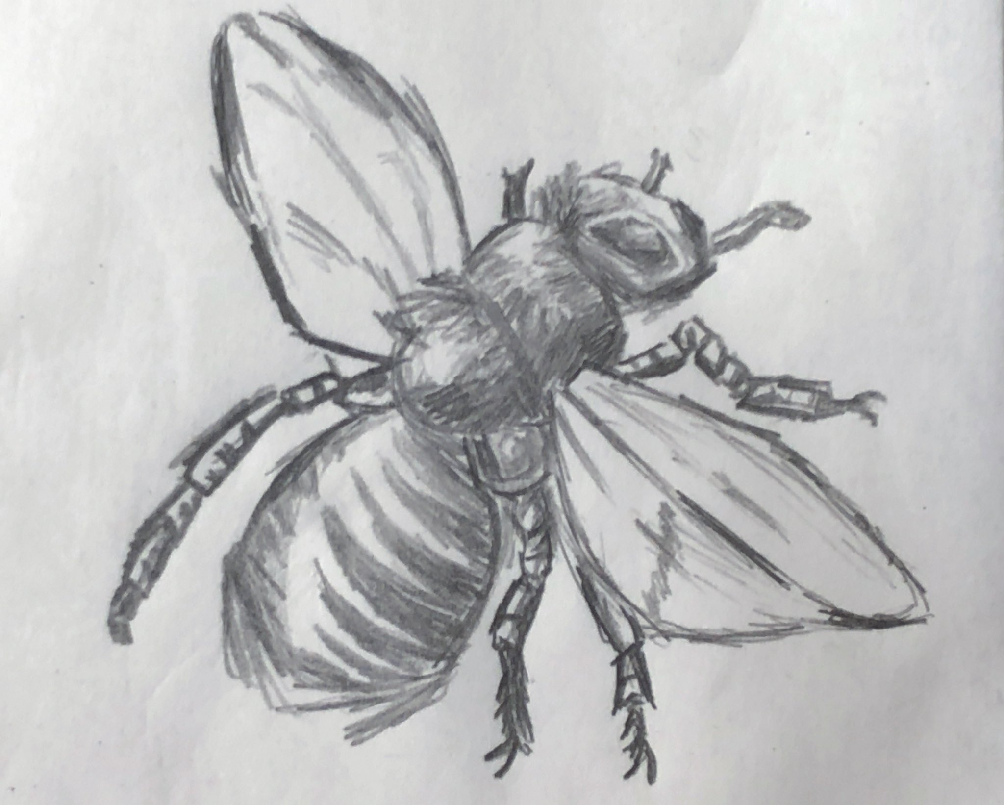 名状しがてぇ何か 今日描いたもの 斧 月ノ美兎 四次元怪獣ブルトン ナナフシモドキ アスワンツェツェバエ T Co Tkc8xwbxon Twitter