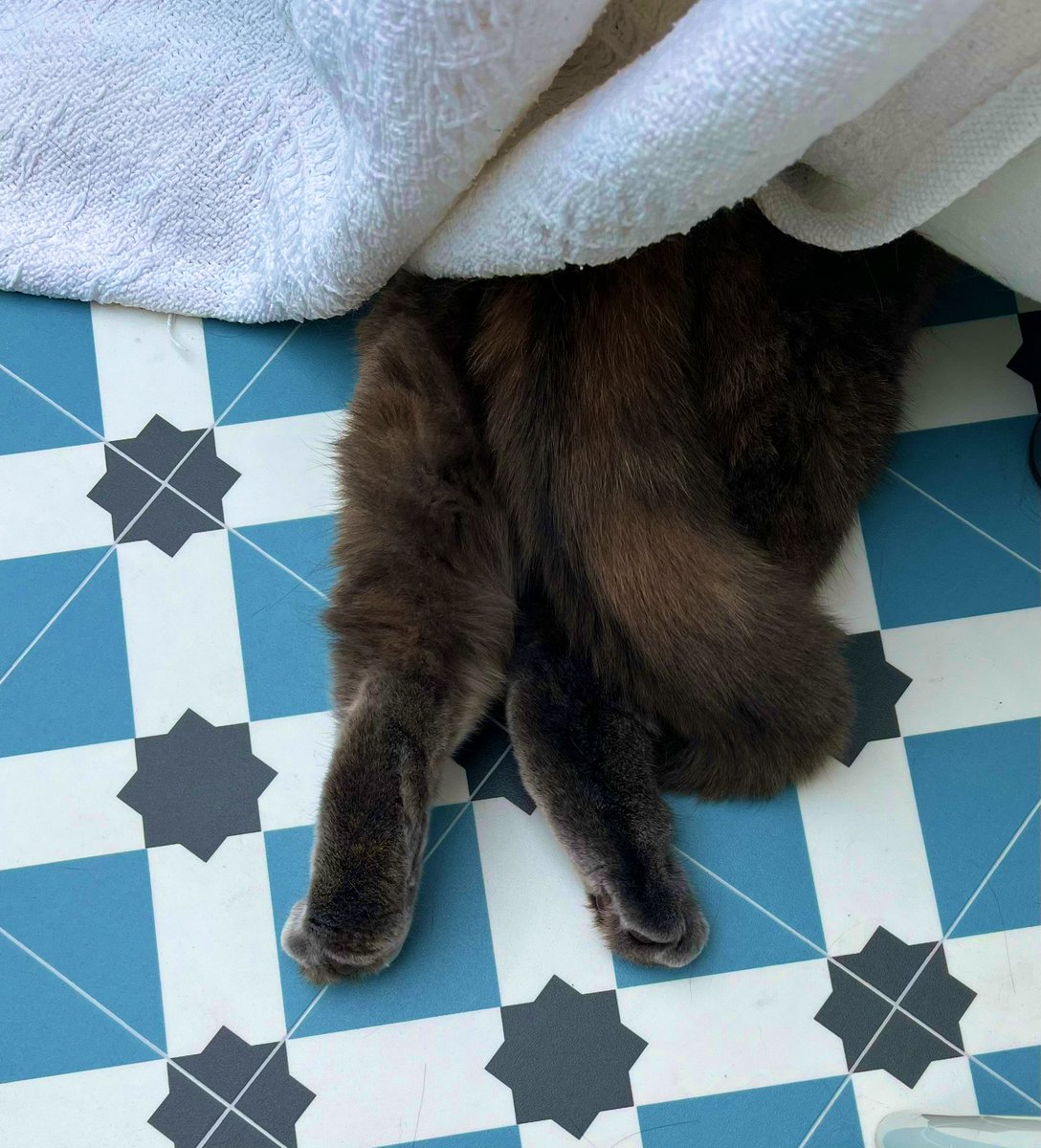 Firebrand🎙🔥🧠 @firebrand.bsky.social tweet media