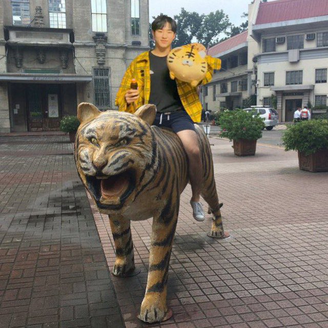 soonwoomails's tweet photo. ˖◛⁺⑅♡ soonwoomails !

tatlong tigre haver finally!!! 🫶 tysm @renreineren for the very smooth transaction 🤍

#MMG_FB https://t.co/nPS6GZHZeG