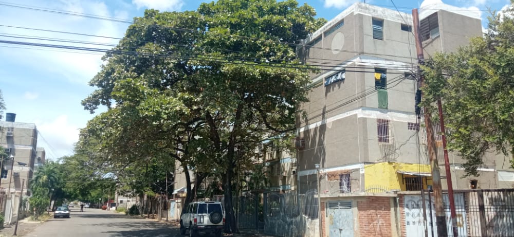 El equipo de la Utec Zulia, atendieron denuncia donde se encontraron tres árboles de tipo almendros, manzanita y acacias vuañ presentan termitas afectaciones en el cableado. Se remite a Corpolec para la poda correspondiente por el cableado eléctrico.