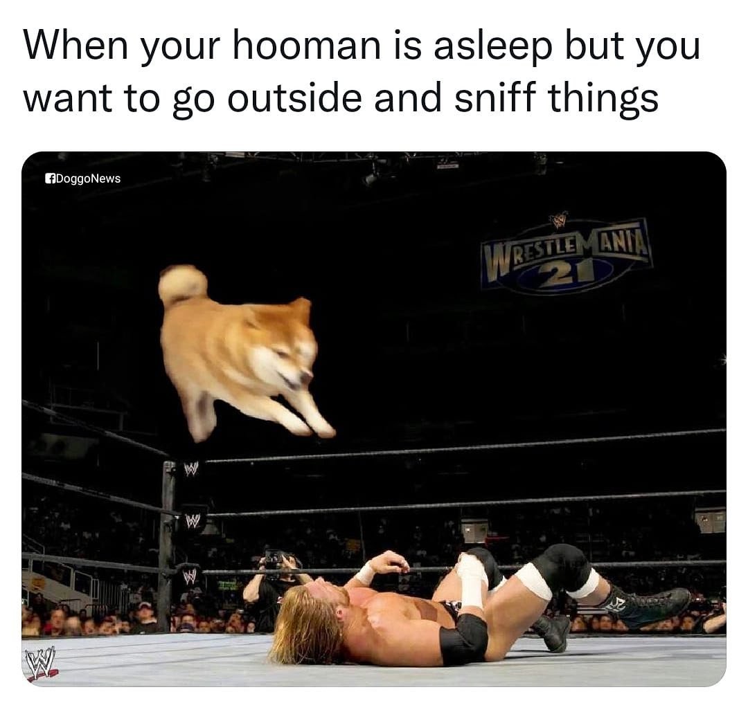 WholesomeMeme's tweet photo. https://t.co/ZEQ0ecwXrU