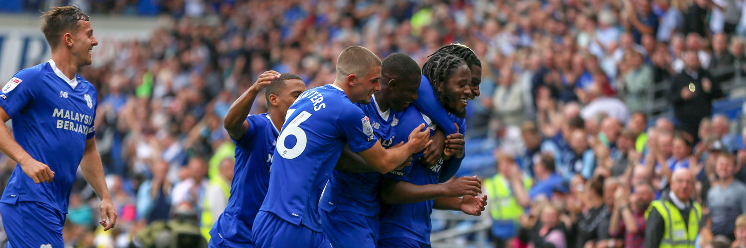 Cardiff City FC on X: Our new Twitter header! 💙 #CityAsOne   / X