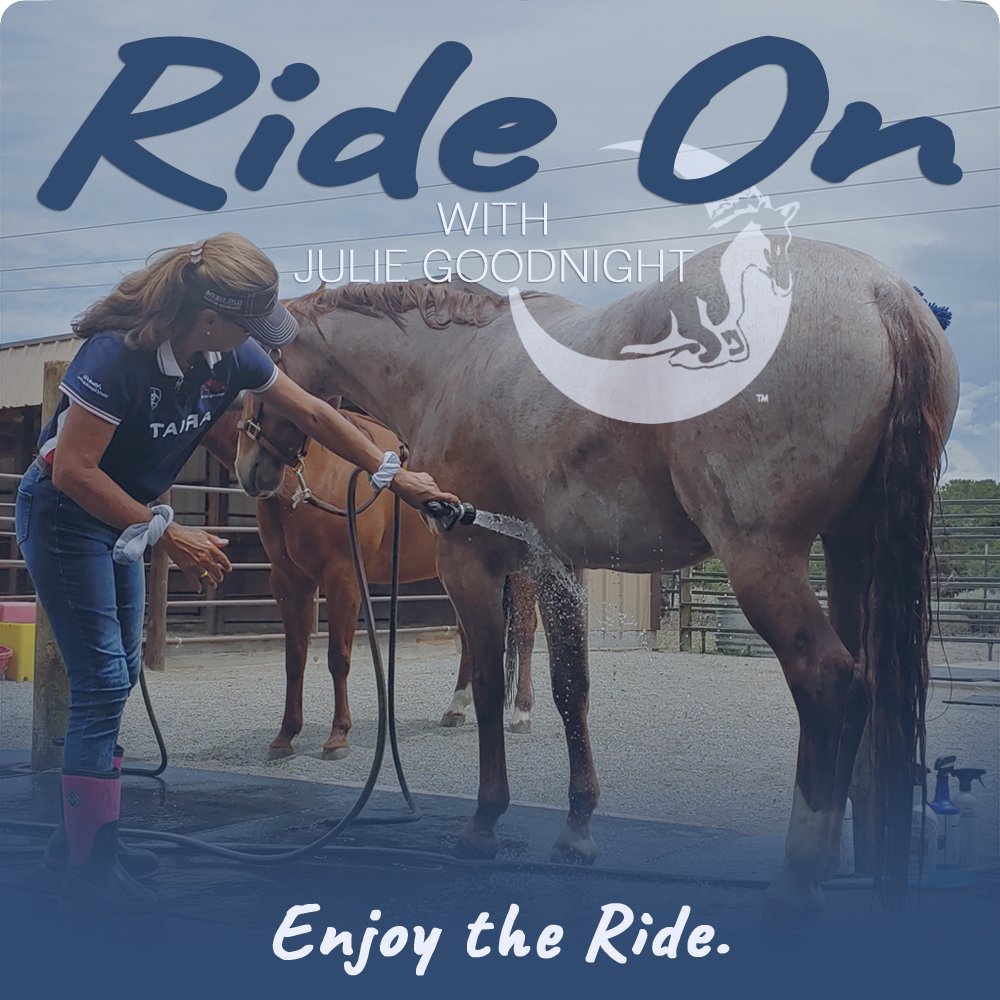 juliegoodnight's tweet photo. A new episode of my podcast is out now! I talk about best practices for keeping your horse comfortable in the hot summer months. Plus, I'll answer all-new listener ?'s in the What the Hay? Q&amp;A segment at the end of this show. Check it out: https://t.co/CFxvqNm4Wl https://t.co/71YDi45ASt