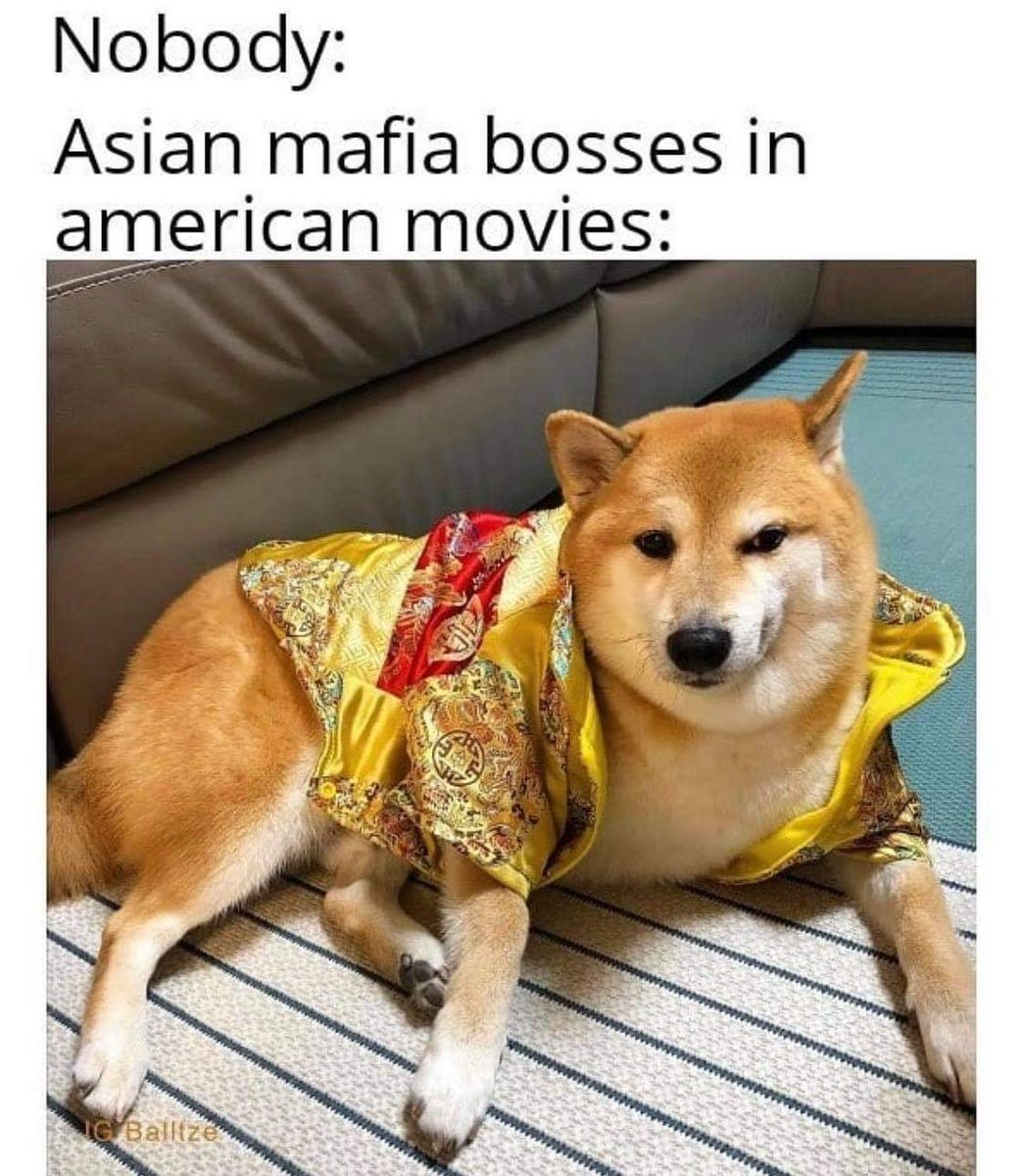 WholesomeMeme's tweet photo. I love @Balltzehk https://t.co/uak25iXfdF