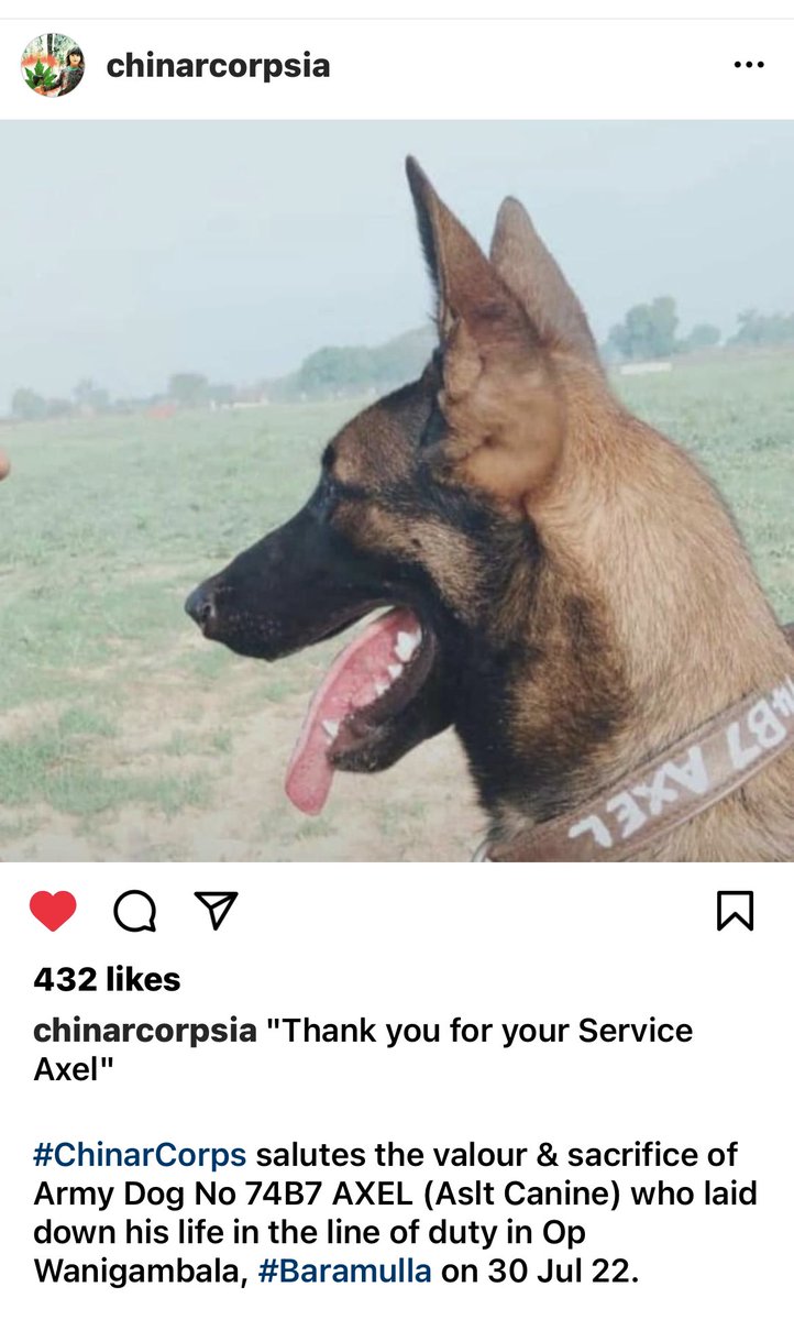 KJS DHILLON🇮🇳 tweet media