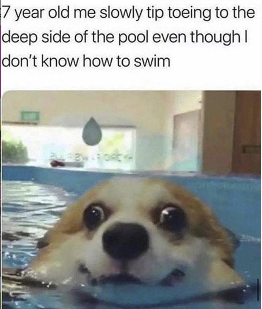 WholesomeMeme's tweet photo. https://t.co/kLTC7phvbQ