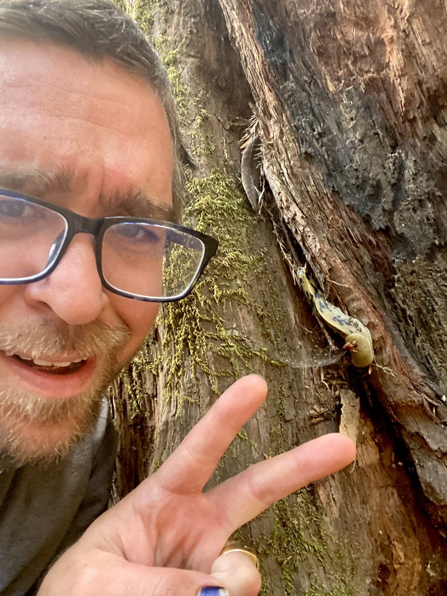 JamJitsBjj's tweet photo. #SlugLyfe always find my fungus eating friends 🐌 when I’m in the woods. make sure to collect my latest edition special for @Tezos4Nature Patience & Strength. Wisdoms from or slug friends. #Tezos #tezosfornature || https://t.co/j2jN03suQ4 https://t.co/XN5R9mxX15