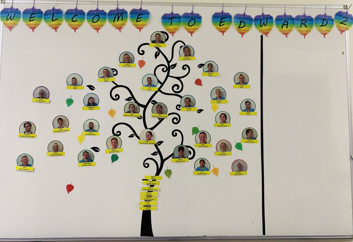 Take a look at @NEO_Edward2 Family Tree Board as you walk onto the ward. Lovely and bright for the patients and visitors to see 🌈💙 @TeamNUH @NUHSurgery @franj1905 @samsobennett